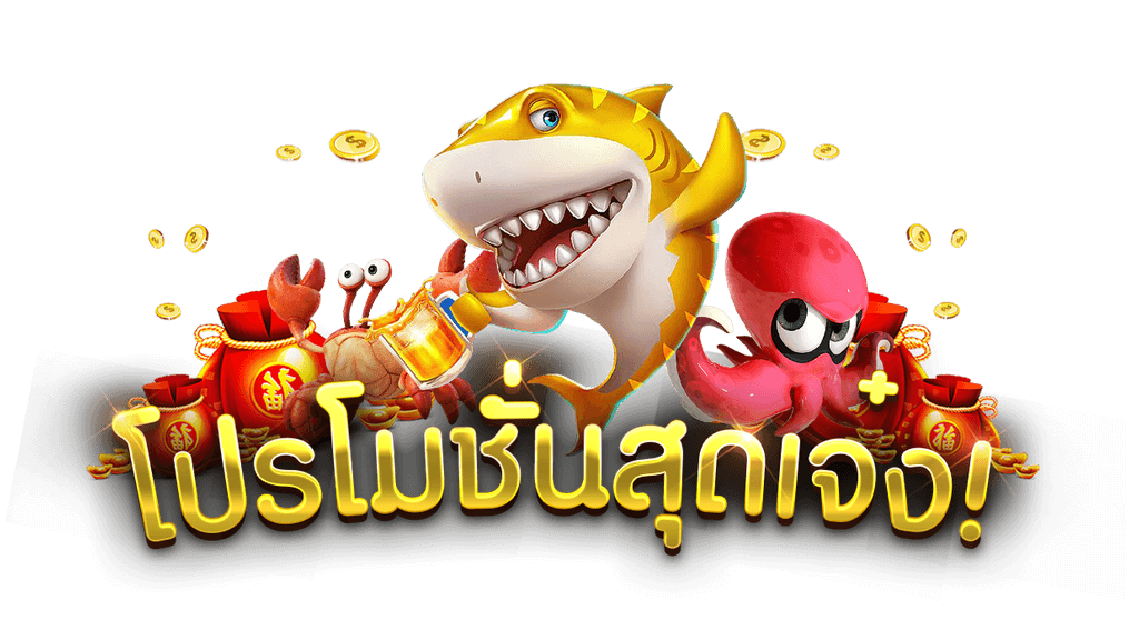 bplay888-promotion